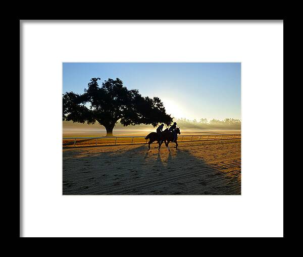 Horse Framed Print featuring the photograph Early Morning Training Run by Jean Wright