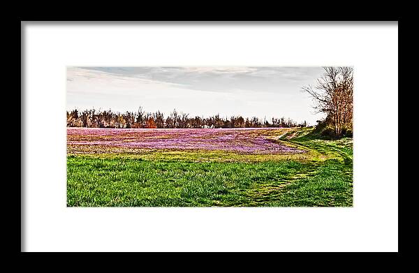 Early Spring Field Framed Print featuring the photograph Early Spring Field by Greg Jackson
