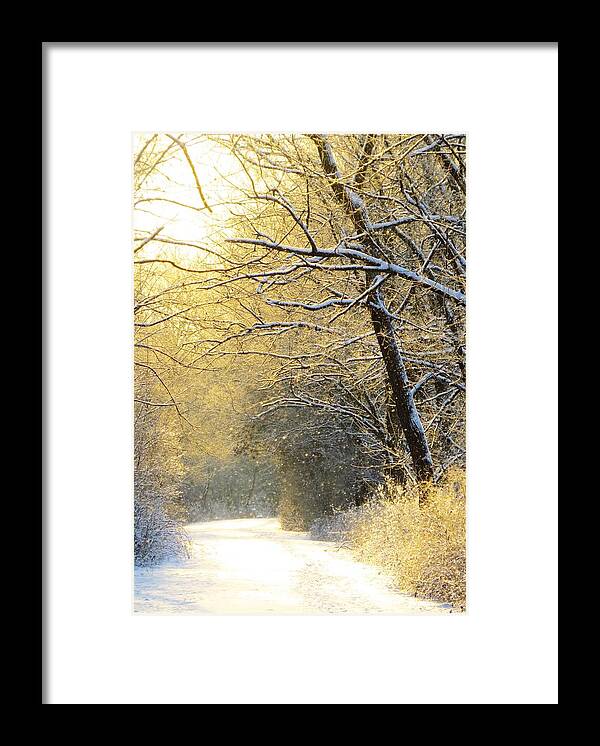 Woods Framed Print featuring the photograph Early Winter Snow by Lori Frisch