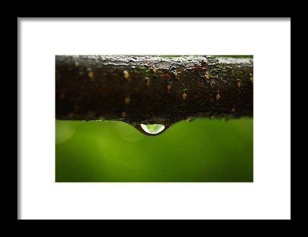 Earth Framed Print featuring the photograph Earth  Water  Air by Shane Holsclaw