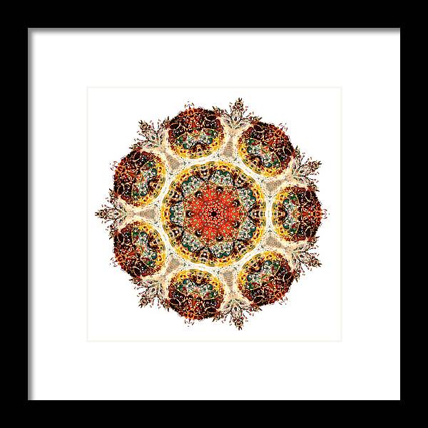 Mandala Framed Print featuring the photograph Earthmind by Lisa Lipsett