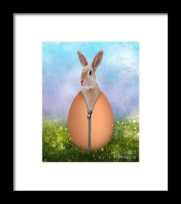 Animal Framed Print featuring the photograph Easter Bunny by Juli Scalzi