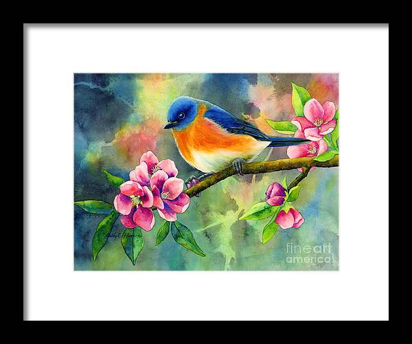 Bird Framed Print featuring the painting Eastern Bluebird by Hailey E Herrera