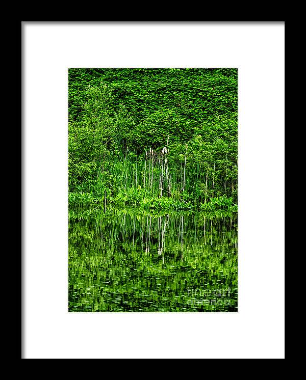 2010 Framed Print featuring the photograph Eden 38 Oil by Mark Myhaver