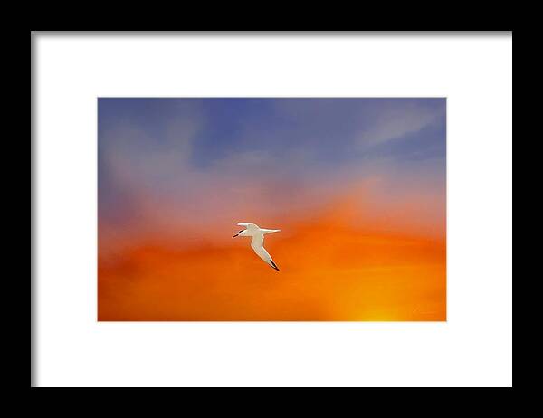 Sunset Framed Print featuring the photograph Edge of Sunset by Barbara Chichester