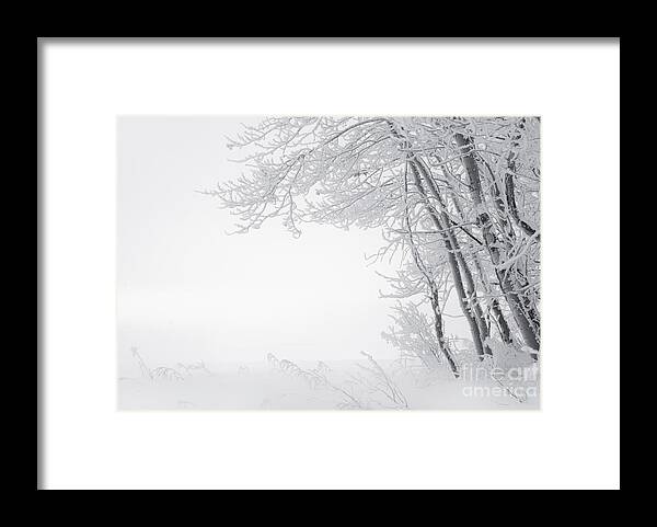 Frost Framed Print featuring the photograph Edge of Winter by Dan Jurak