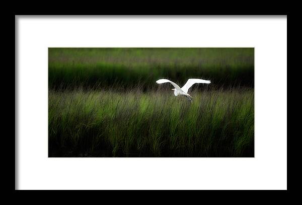 Bird Framed Print featuring the photograph Egret at Pawleys Island by Frank Bright