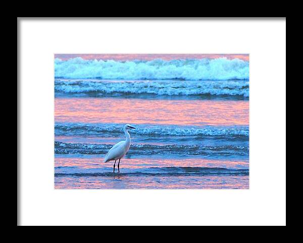 Choshi Framed Print featuring the photograph Egret At The Sunset Beach by Eriko Shinozuka