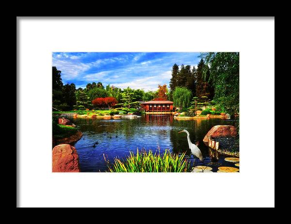 Egret Framed Print featuring the photograph Egret Garden by Lynn Bauer