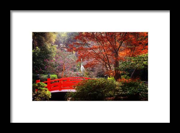 Egret Framed Print featuring the photograph Egret in the Japanese Garden by Lynn Bauer