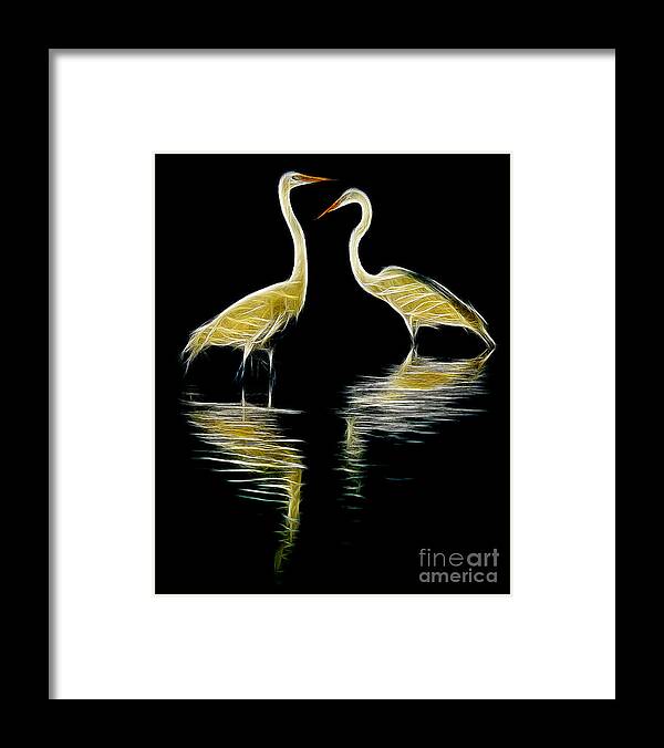 Abstract Framed Print featuring the photograph Egret Pair by Jerry Fornarotto