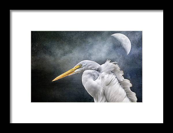 Egret Framed Print featuring the photograph Egret's Moon by Brian Tarr