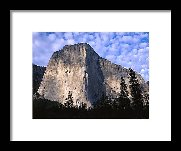 Feb0514 Framed Print featuring the photograph El Capitan Rising Over The Forest by Tim Fitzharris
