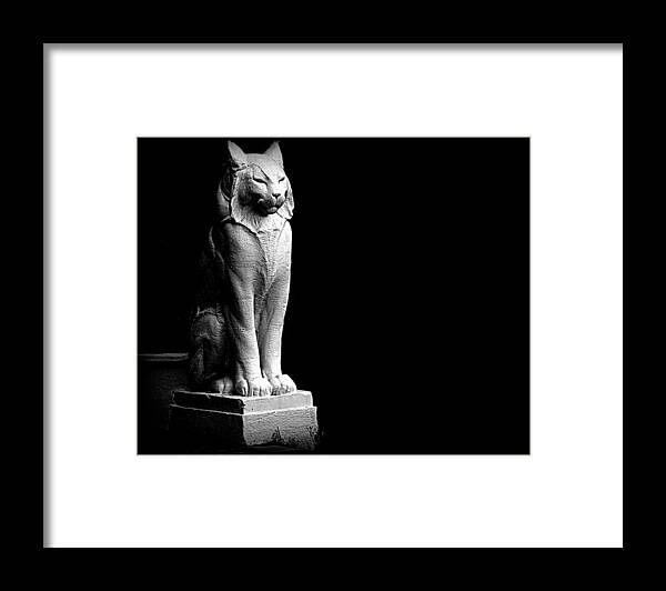 Black Framed Print featuring the photograph El Gato by AJ Schibig