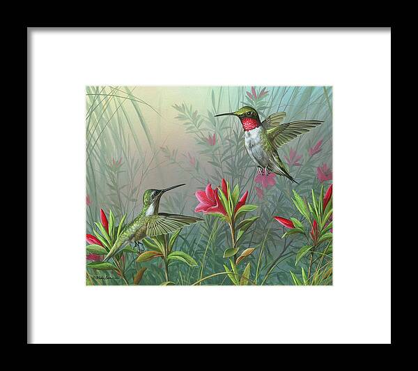 Humming Birds Framed Print featuring the painting Elegance by Mike Brown
