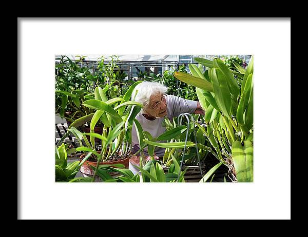 Community Framed Print featuring the photograph Elderly Woman Examining Plants by Jim West