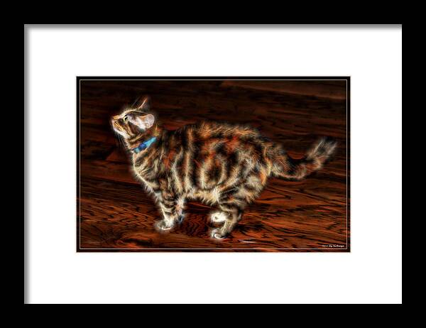 Electric Framed Print featuring the photograph Electric Kitty by Lucy VanSwearingen