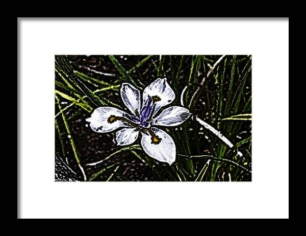 Electric Framed Print featuring the digital art Electric Wild Iris by Photographic Art by Russel Ray Photos