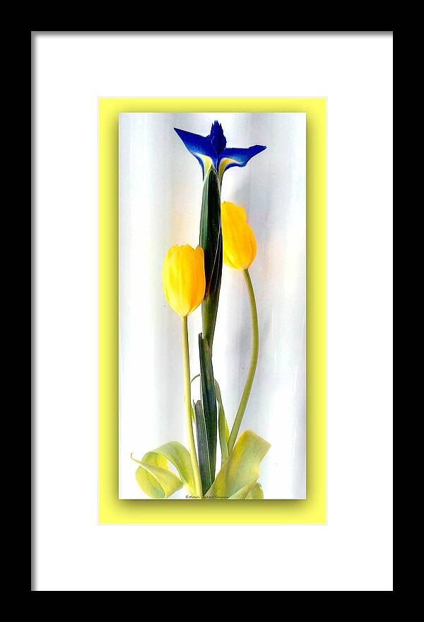 Yellow Framed Print featuring the photograph Elegance in Bloom by Michelle Frizzell-Thompson