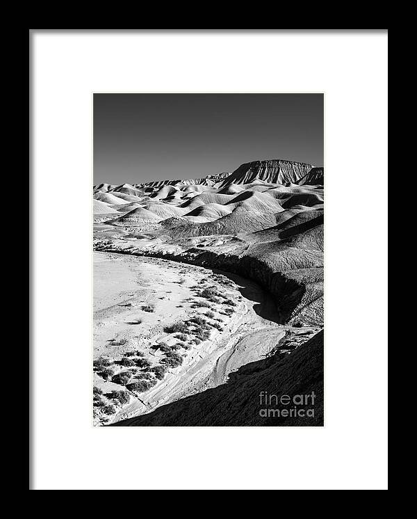 Anza Borrego Desert Framed Print featuring the photograph Elephant Knees and Mud Hills by Alexander Kunz
