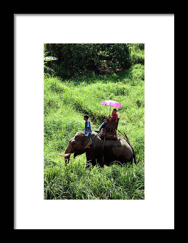 Working Animal Framed Print featuring the photograph Elephant Picnic On Thailands National by John W Banagan
