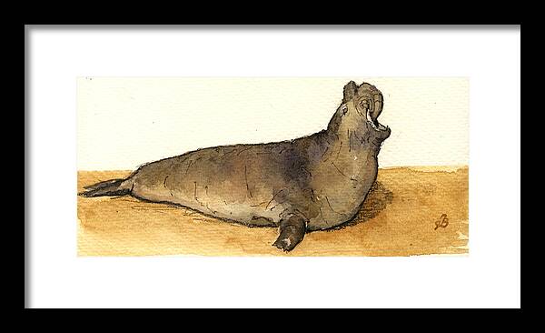 Elephant Seal Framed Print By Juan Bosco