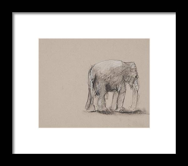 Elephant Charcoal Study On Paper By Sally Doyle-kopriva. Framed Print featuring the drawing Elephant Charcoal Study #1 by Greg Kopriva