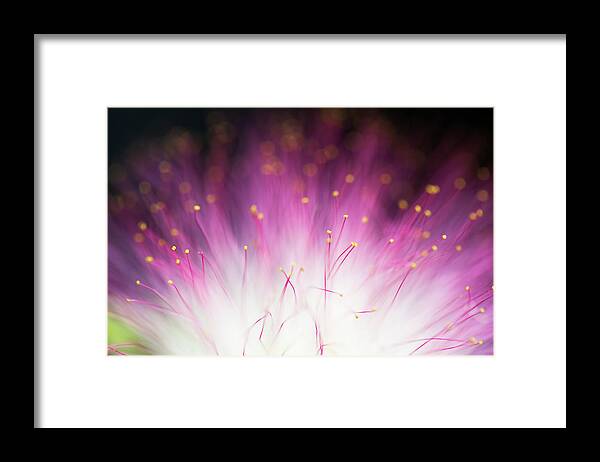 Macro Framed Print featuring the photograph Elfin by Art Lionse