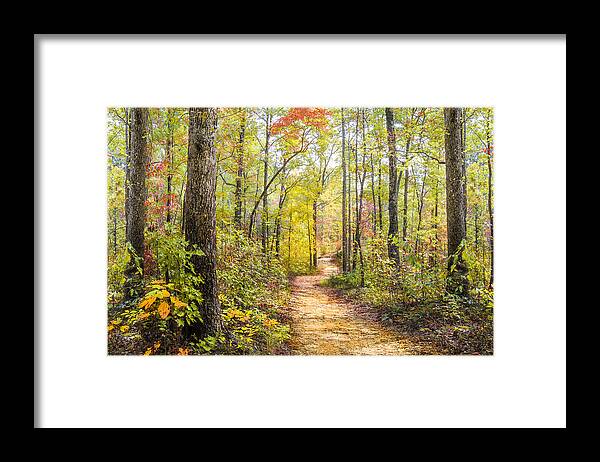Appalachia Framed Print featuring the photograph Elfin Forest by Debra and Dave Vanderlaan
