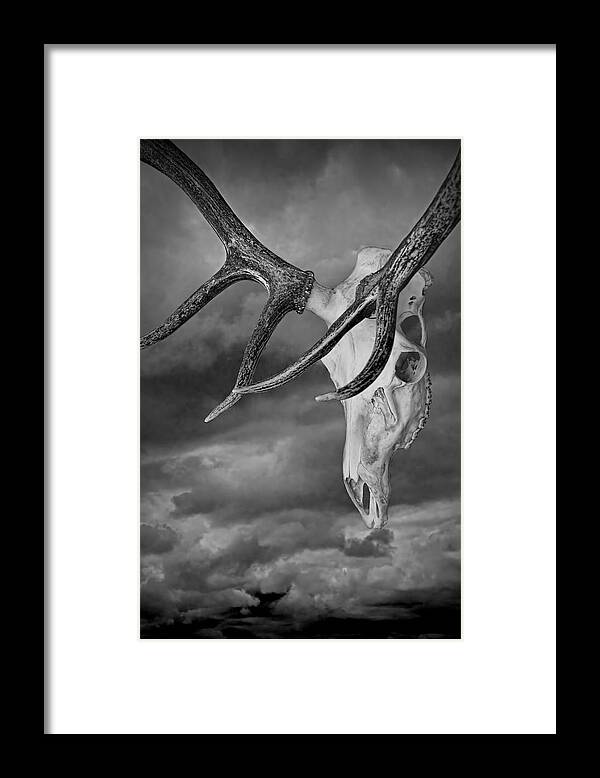 Art Framed Print featuring the photograph Elk Skull with Sky by Randall Nyhof
