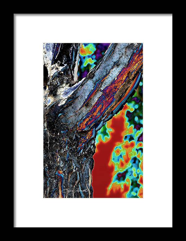 Tree Framed Print featuring the photograph Embers by Sylvia Thornton