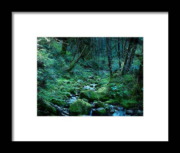 Forest Framed Print featuring the photograph Emerald Forest by Nick Kloepping