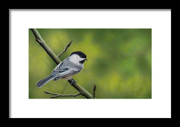 Chickadee Framed Print featuring the drawing Emerald Shadows by Stirring Images