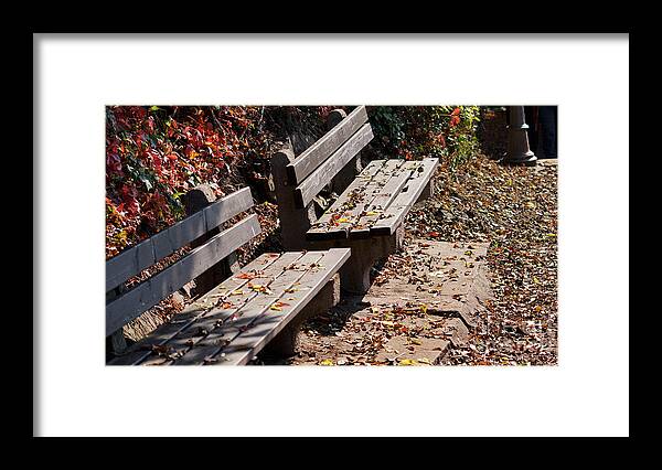Empty Framed Print featuring the photograph Empty benches in autumn by Eva-Maria Di Bella