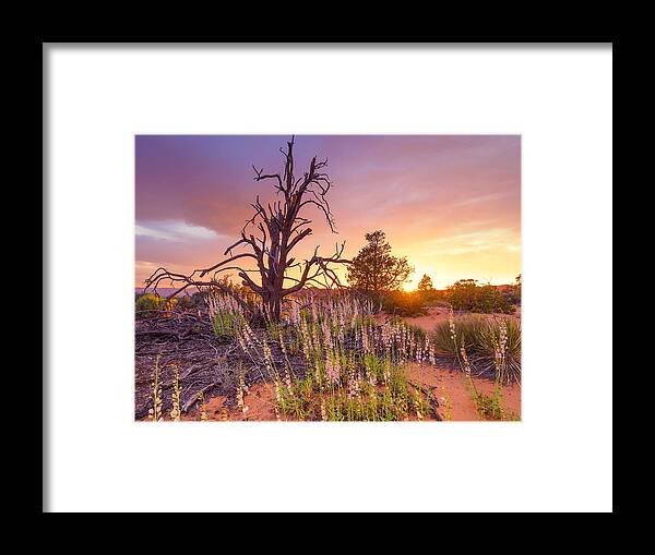 Desert Sunset Framed Print featuring the photograph Enchanted by Emily Dickey
