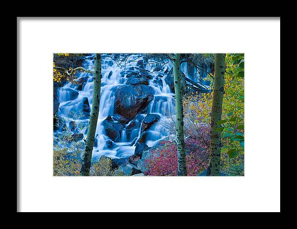 Nature Framed Print featuring the photograph Enchanted by Jonathan Nguyen