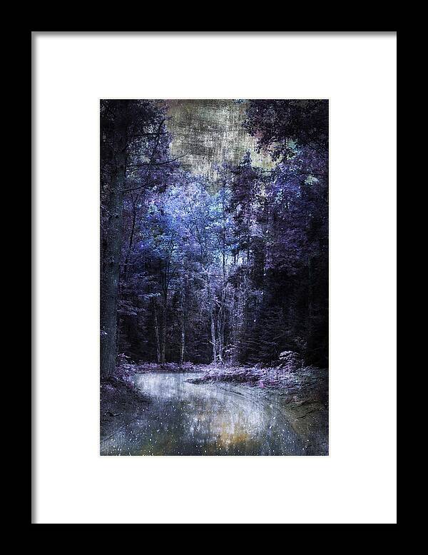 Evie Framed Print featuring the photograph Enchanted Path by Evie Carrier
