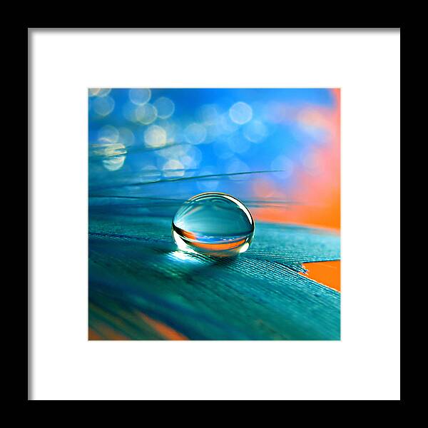 Canon Powershot Sx10 Is Framed Print featuring the photograph Enchanted by Vesna Viden