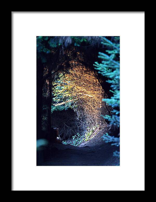 Enchanting Framed Print featuring the photograph Enchanting by Christina Ochsner