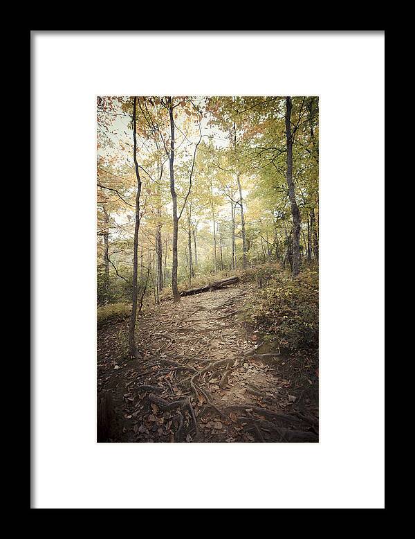 Forest Framed Print featuring the photograph Enchanting Forest by Debbie Karnes