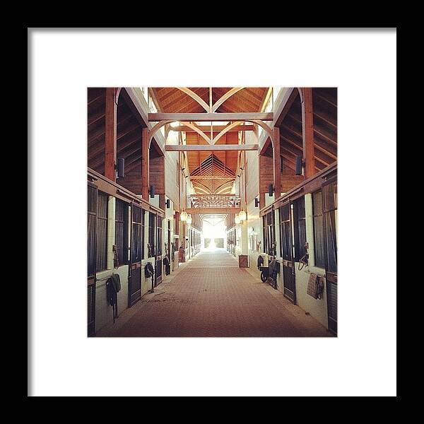 Horse Framed Print featuring the photograph Enjoyed Visiting Providence Hill Farm by Ellis Brewer