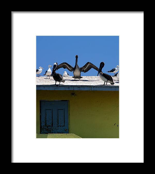 Mexico Framed Print featuring the photograph Ensenada Harbour and Fish Market 34 by JustJeffAz Photography