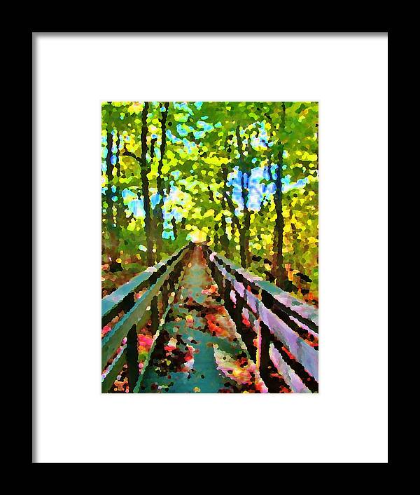 Woods Framed Print featuring the photograph Forest Bridge in Autumn by Jeannie Allerton