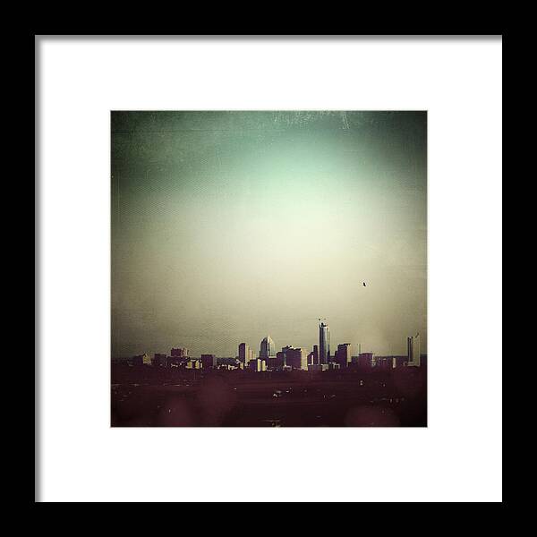 Bird Framed Print featuring the photograph Escaping the City by Trish Mistric