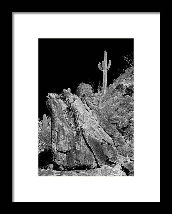 Desert Framed Print featuring the photograph Estrella Mountain Saguaro by Jim Painter
