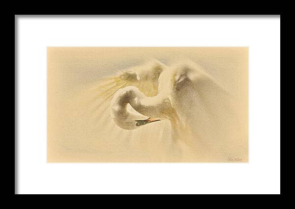 Great Egret Framed Print featuring the photograph Ethereal Egret by Ola Allen