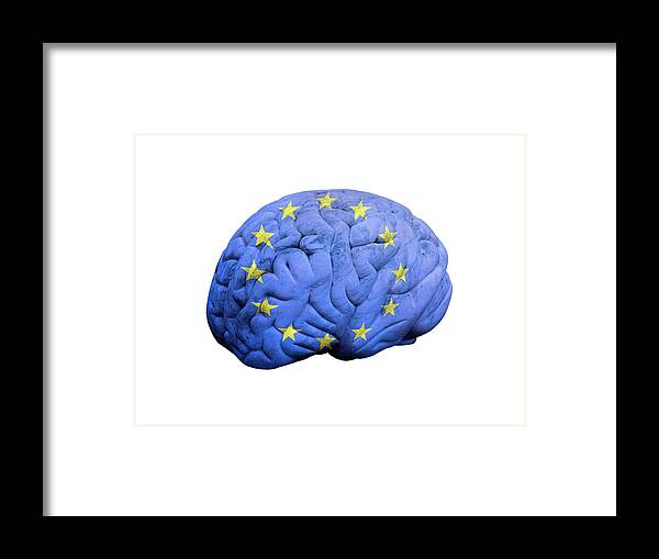 Artwork Framed Print featuring the photograph European Brain by Victor De Schwanberg/science Photo Library