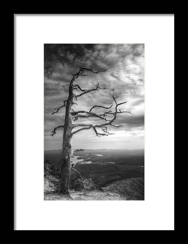Linville Gorge Framed Print featuring the photograph Even In Death I Defy Thee by Mark Steven Houser