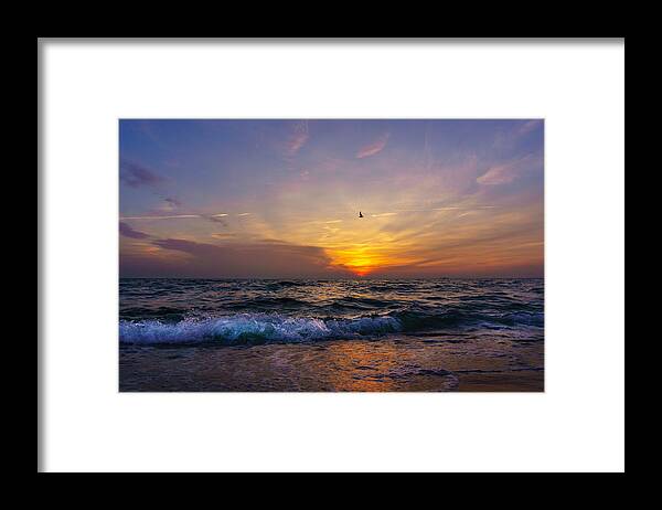 Motion Framed Print featuring the photograph Evening flight by Dmytro Korol