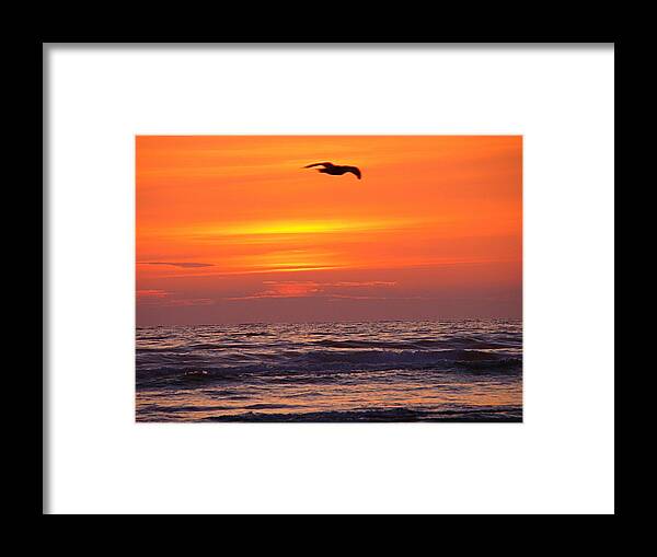 Sunset Framed Print featuring the photograph Evening Flight by Nick Kloepping